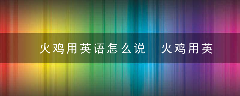 火鸡用英语怎么说 火鸡用英语如何读